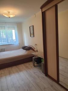 une chambre avec un lit et un grand miroir dans l'établissement Lima C, à Druskininkai