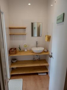 a bathroom with a sink and a mirror at Guest House Ishigaki in Ishigaki Island