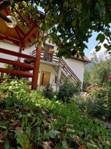 A garden outside Apartment Sijakovic