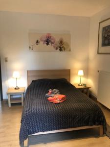 een slaapkamer met een bed met 2 nachtkastjes en 2 lampen bij La conciergerie in Hotton