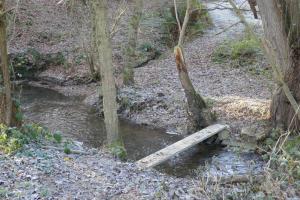 a wooden bridge over a stream in a forest at Kleines Glück in Burgbrohl