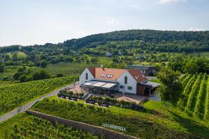 an aerial view of a house in a vineyard at Vitis Kúria 7171 Balatonrendes in Balatonrendes