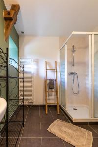 y baño con ducha y mampara de cristal. en Les prairies du Mont - Le gite de La Chapelle, en Sougéal