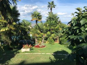un jardín con palmeras y flores en un patio en Studio Apartman Lavanda, en Matulji