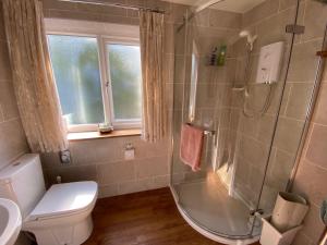 a bathroom with a shower and a toilet and a sink at Millbrook in Penistone