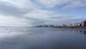 a large body of water with buildings in the background at Marine View Guest House in Worthing