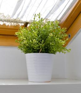 Fotografie z fotogalerie ubytování Plaza Mayor Centro - Familiar-Sin Ruido-Wifi-Ascensor v destinaci Valladolid + 31 fotografií