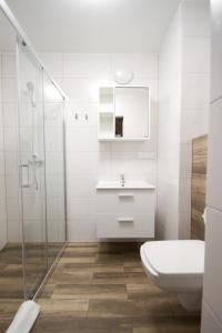 uma casa de banho com um WC, um lavatório e um chuveiro em Hotel Kolorowa em Karpacz