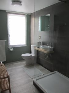 uma casa de banho com um WC, um lavatório e um espelho. em Vakantiewoning Zonnehof em Sint-Margriete