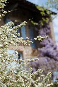 un árbol con flores blancas delante de un edificio en Chambre privative et originale, à 20 mn de Cluny, en Trivy