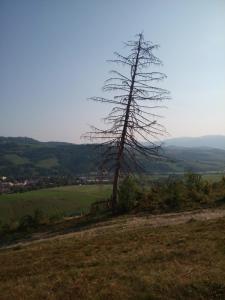 Loodusmaastik of the country house lähedal