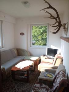 a living room with a couch and a window at Ubytovanie u Tomku in Rejdová