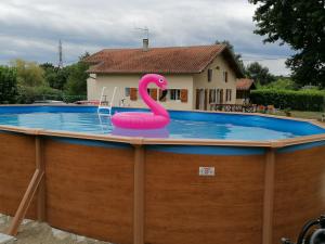 a swimming pool with a pink swan on top of it at MAISON PRATS in Audon