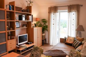 a living room with a couch and a television at Moderne Ferienwohnung Nähe Bad Griesbach, Haarbach in Haarbach