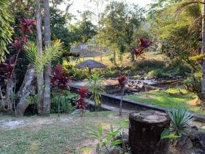 un giardino con ruscello, alberi e piante di Pousada Penedo a Penedo