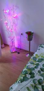 a room with a vase with pink lights in it at Aphrodite Rose in Sunny Beach