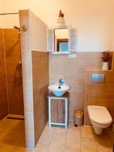 a bathroom with a sink and a toilet at Dom w Kratę - koło Karpacza in Łomnica