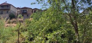una casa en la cima de una colina con árboles en Minaides Hotel en Kakopetria