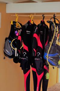 Gambar di galeri bagi Barefoot Bonaire di Kralendijk