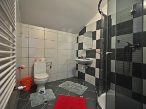 y baño con aseo, lavabo y ducha. en Hotel Arkadia en Ciechanowiec