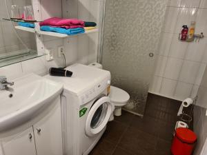 W łazience znajduje się pralka i umywalka. w obiekcie Mustvee Creek Cottage w mieście Mustvee