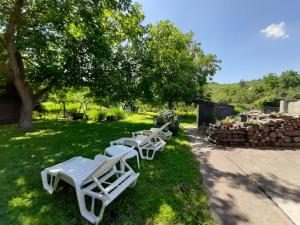 a row of white chairs sitting in the grass at Farkas Piroska Vendégház in Bogács