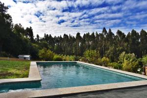 a swimming pool in the middle of a yard with trees at Casa Duarte in Cuntis
