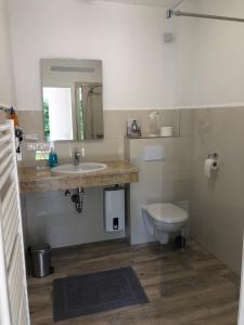 a bathroom with a sink and a toilet at Pension Zum Stein in Hohenkirchen