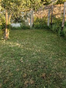 Gallery image of Il Glicine - Casa vacanza in Procida