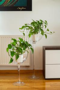 リュブリャナにあるLjubljana finest apartmentのギャラリーの写真