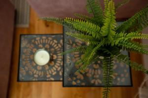 リュブリャナにあるLjubljana finest apartmentのギャラリーの写真