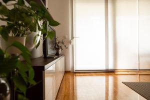 リュブリャナにあるLjubljana finest apartmentのギャラリーの写真