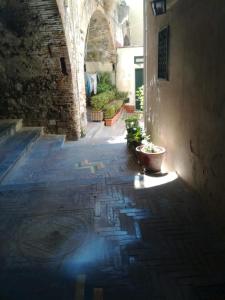an alley with some plants in a building at LA CASETTA DI MARY in Cetara