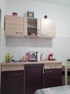 Kuchyň nebo kuchyňský kout v ubytování Studio Apartment Lili