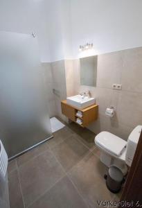 uma casa de banho com um WC e um lavatório em Várkerület 6 Apartman em Sárvár