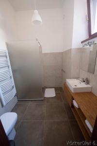 a bathroom with a shower and a toilet and a sink at Várkerület 6 Apartman in Sárvár
