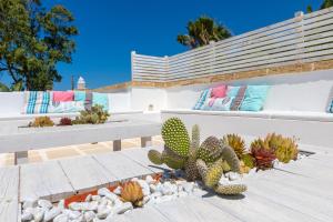 a group of benches with cactuses on a patio at Tenuta Aletheia B&B in Alliste