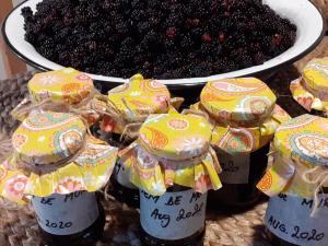 un tazón de moras junto a un tazón de moras en Valchid Guest House, en Valchid