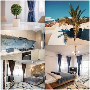 a collage of photos of a room with a palm tree at Blue Boutique Magic View of the Sea Apartments in Mamaia