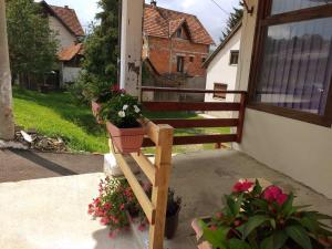 Zahrada ubytování Apartman Milica