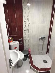 W łazience znajduje się prysznic, toaleta i umywalka. w obiekcie Studio Ivana 1 w mieście Sokobanja