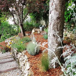 a garden with a tree and a stone wall at Le Panoramique in Auvers-sur-Oise