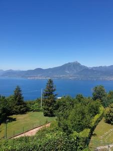 een uitzicht op een grote hoeveelheid water met bomen bij Residence Spighetta 2 in Torri del Benaco
