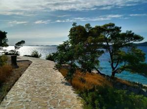 a stone path next to the water with a tree at Apartments Tonći and Iris in Primošten