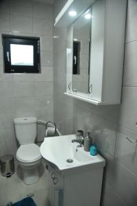 a bathroom with a toilet and a sink and a mirror at Restoran,,Vuk,, Tršić in TrÅ¡iÄ‡ +38 photos