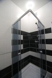 y baño con ducha y puerta de cristal. en Apartments Georg-Grad, en Odessa