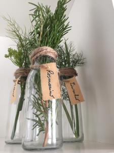 two glass jars filled with plants with tags on them at Ikuvium Home in Gubbio
