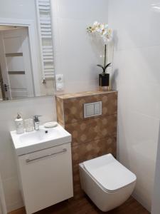 uma casa de banho com um WC branco e um lavatório. em Mieszkanie w kamienicy em Dzierżoniów