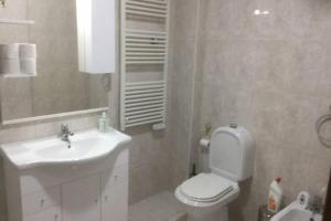a bathroom with a white toilet and a sink at Charming Family Large Apartment in Bragança +14 photos