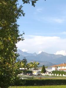 a view of a city with mountains in the background at Lavanda in Torre del Lago Puccini